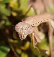 �I�I�J�}�L�����i���ؓ��j