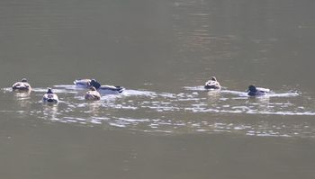 �}�K���i�V���r�j