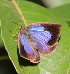 �����T�L�V�W�~�i���ؓ��j