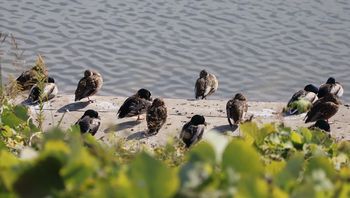 �}�K���i�V���r�j