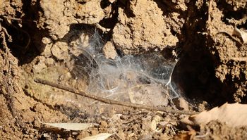 �n�w偗ނ̖ԁi��X���j