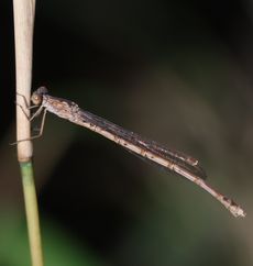 �z�\�~�I�c�l���g���{���i��X���j