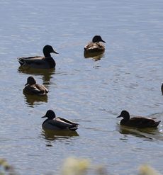 �}�K���i�V���r�j