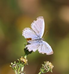 ���}�g�V�W�~�i�^�������j