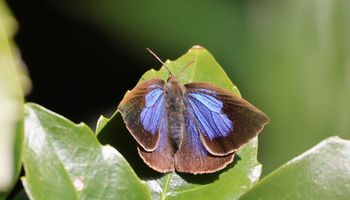 �����T�L�V�W�~���i��X���j