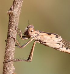 �z�\�~�I�c�l���g���{���i����������j