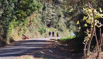 ��X���Ζʗщ��i��X���j