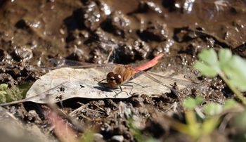 �A�L�A�J�l���i��X���j