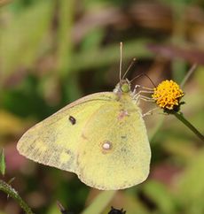 �����L�`���E�i�]�ː�y��j