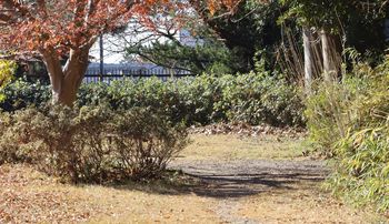 �`���E�������z���܂�i���ؓ��j