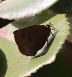 �����T�L�V�W�~�i���ؓ��j