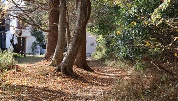 �т̏��a�i�s��J�j