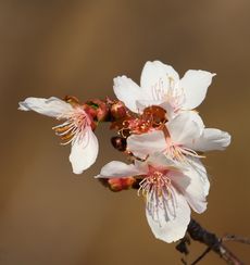 �~���i���ؓ��j