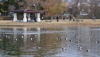 �z�V�n�W���i�������j