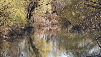 �����ۑS���H�i�]�ː�j