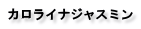 カロライナジャスミン