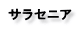 サラセニア