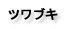 ツワブキ