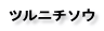 ツルニチソウ