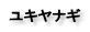 ユキヤナギ