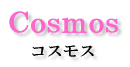 Cosmos コスモス