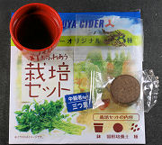 三ツ矢サイダーのおまけのミツバ栽培セット