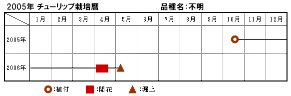 2003N Cp`FX͔|