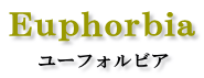 Euphorbia [tHrA