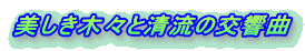 ؁XƐ̌