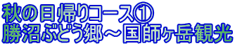 H̓AR[X@
Ԃǂ`txό