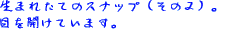 ܂ꂽẴXibvîQj