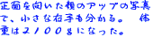 ʂ̃Abv