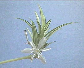 �I���d������