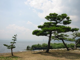 志賀の唐崎