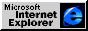 [Internet Explorer Logo]