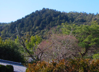 小倉山