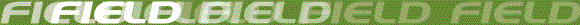 ��ƕ���(FIELD)