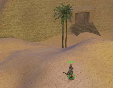 �s���~�b�h�̑O�Ńp�`��