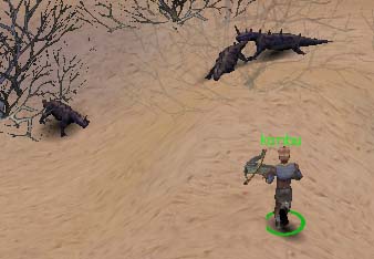 �g�J�Q�O�C��konbu����B