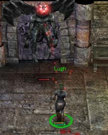 �_���W�����{�X