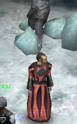 �����������Ă��̏�ŗ����オ��_���Ɛ^���ɂ���h���̐���