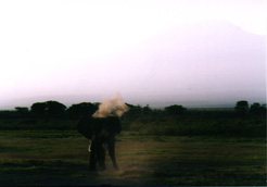 Photo Africana