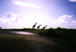Photo Africana