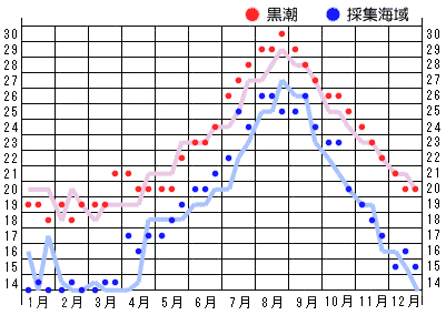 2013年水温グラフ