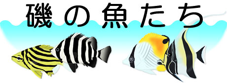 �^�C�g��