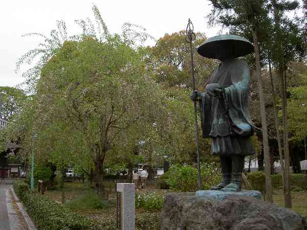 sakura06a/P2870-60