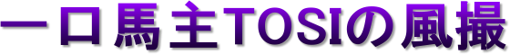 nTOSI̕B