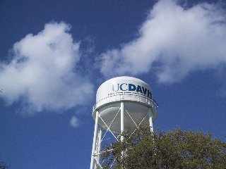 Tower