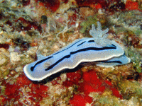 �~�]���E�~�E�V