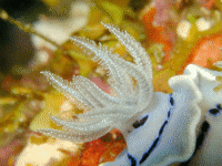 �~�]���G��